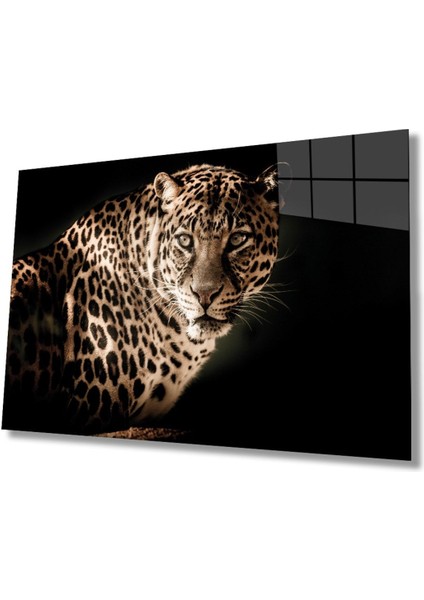 Leopar Hayvan Portresi Cam Tablo, Ev ve Ofis Duvar Dekoru, Hediyelik Büyük Temperli 4 mm Cam Tablo