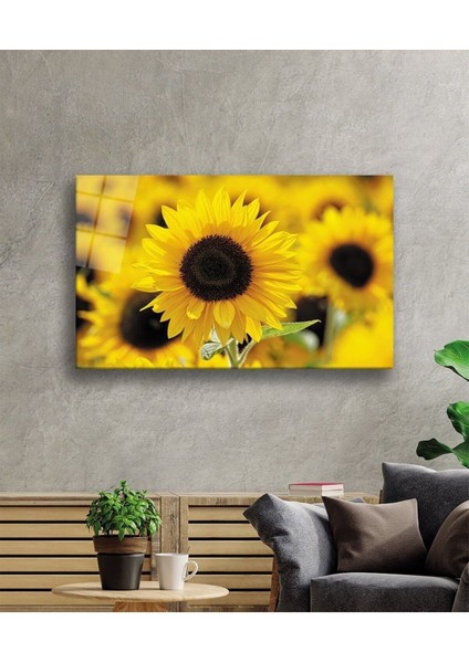 Ayçiçeği Cam Tablo, Ev ve Ofis Duvar Dekoru Hediyelik Büyük Tablo Dayanıklı Cam fiyatları
