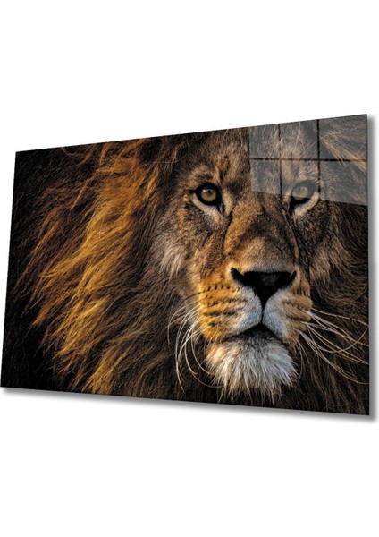 Aslan 11 Cam Tablo