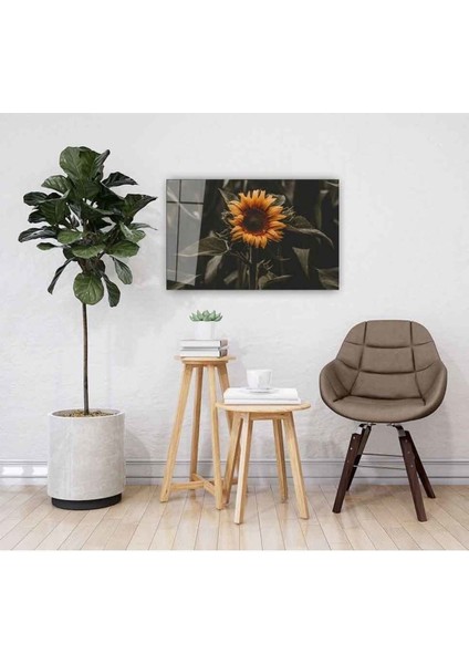 Ayiçeği Cam Tablo 4mm Dayanıklı Temperli Cam fiyatları