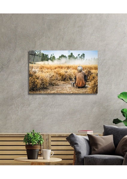 Buğday Cam Tablo fiyatları