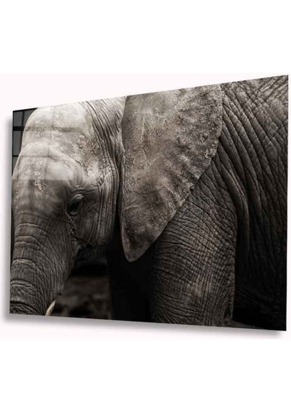 Fil Cam Tablo 4mm Dayanıklı Temperli Cam