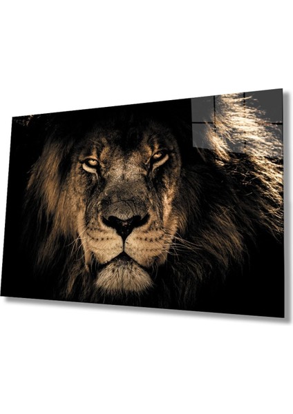 Aslan Hayvan Cam Tablo 4mm Dayanıklı Temperli Cam