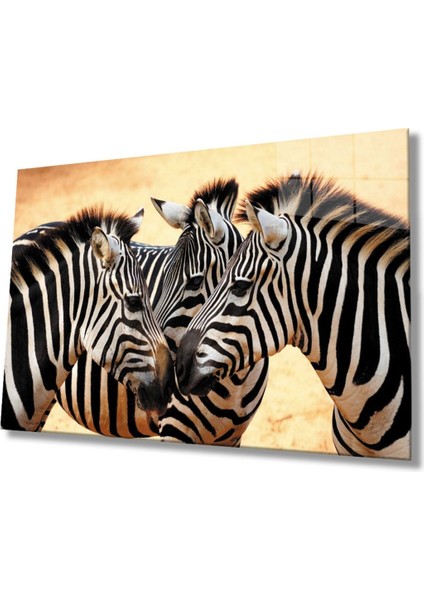 Zebra Hayvan Cam Tablo 4mm Dayanıklı Temperli Cam