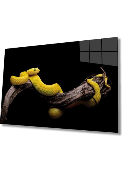 Yılan Hayvan Cam Tablo