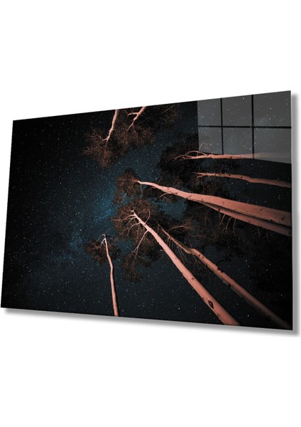 Ağaçlar Kahverengi Cam Tablo, Ev ve Ofis Duvar Dekoru Hediyelik Büyük Tablo Dayanıklı Cam