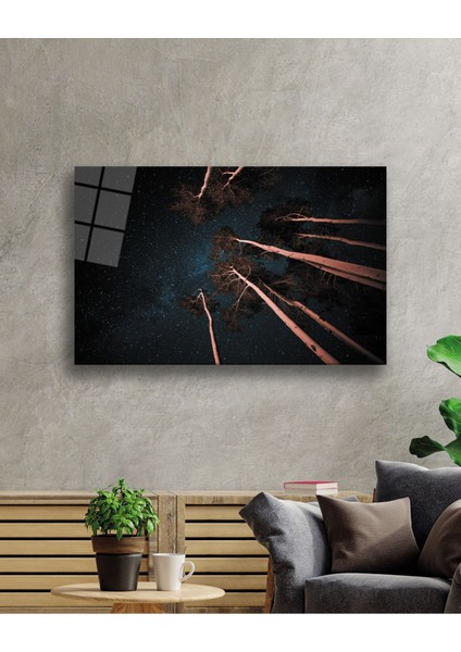 Ağaçlar Kahverengi Cam Tablo, Ev ve Ofis Duvar Dekoru Hediyelik Büyük Tablo Dayanıklı Cam fırsatları