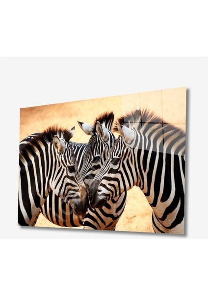 Zebra Hayvan Cam Tablo 4mm Dayanıklı Temperli Cam