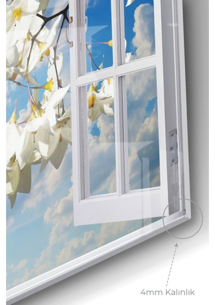 Pencere ve Beyaz Çiçekler | Manzara Temalı Cam Tablo | 50X70 cm modelleri