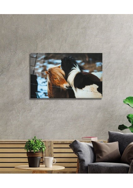 Atlar Cam Tablo fiyatları