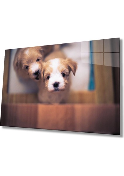 Köpekler Cam Tablo