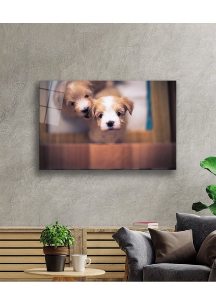 Köpekler Cam Tablo