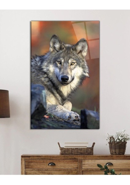 Kurt Hayvan Portresi Cam Tablo, Ev ve Ofis Duvar Dekoru, Hediyelik Büyük Temperli 4 mm Cam Tablo fiyatları