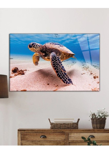 Deniz Kaplumbağası Hayvan Portresi Cam Tablo, Ev ve Ofis Duvar Dekoru, Hediyelik Büyük Cam Tablo fiyatları