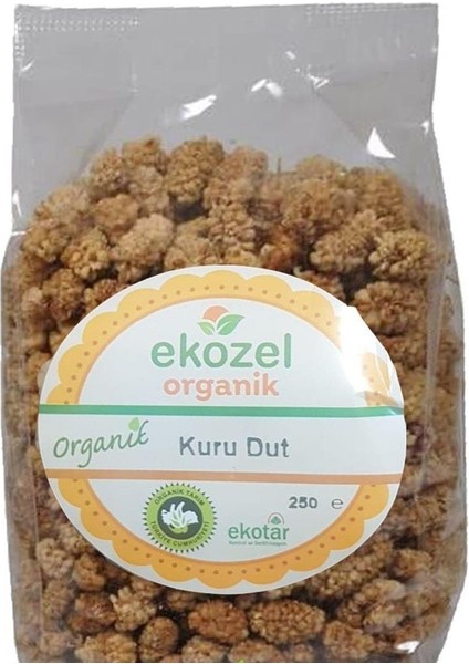 Dut Kurusu