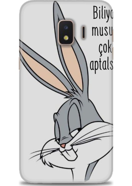Samsung Galaxy J2 Core Hd Baskılı Kılıf + Seramik Tam Kaplayan Ekran Koruyucu 153