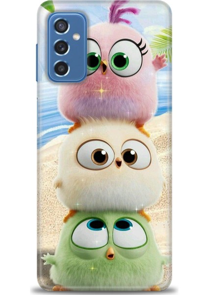 Samsung Galaxy M52 5g Hd Baskılı Kılıf + Seramik Tam Kaplayan Ekran Koruyucu 366