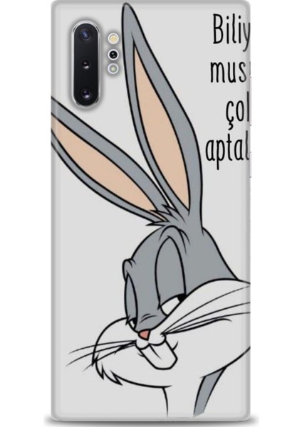 Samsung Galaxy Note 10 Plus Hd Baskılı Kılıf + Seramik Tam Kaplayan Ekran Koruyucu 153