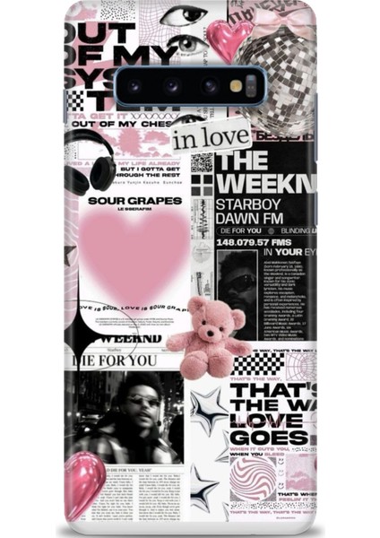 Samsung Galaxy S10 Plus Hd Baskılı Kılıf + Seramik Tam Kaplayan Ekran Koruyucu 204