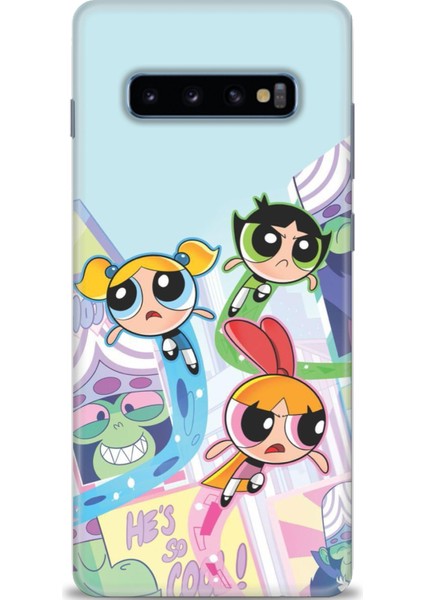 Samsung Galaxy S10 Plus Hd Baskılı Kılıf + Seramik Tam Kaplayan Ekran Koruyucu 124