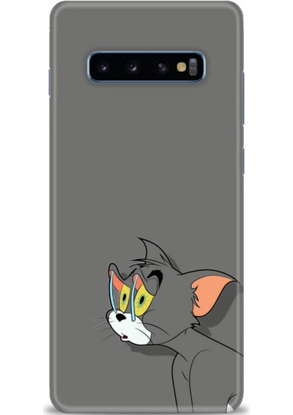 Samsung Galaxy S10 Plus Hd Baskılı Kılıf + Seramik Tam Kaplayan Ekran Koruyucu 408