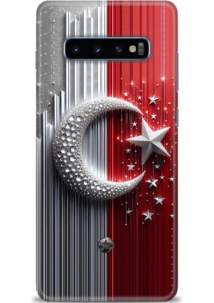Samsung Galaxy S10 Plus Hd Baskılı Kılıf + Seramik Tam Kaplayan Ekran Koruyucu 40