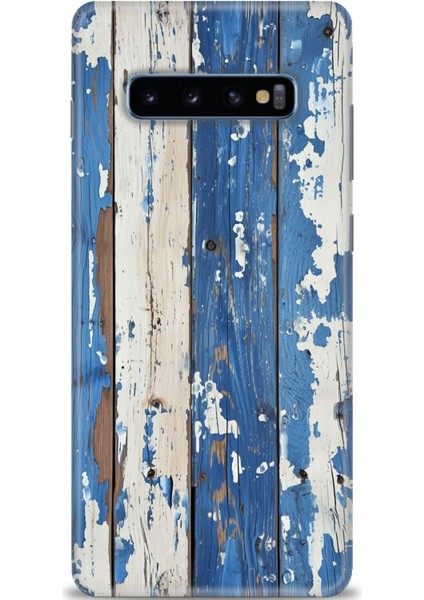 Samsung Galaxy S10 Plus Hd Baskılı Kılıf + Seramik Tam Kaplayan Ekran Koruyucu 329