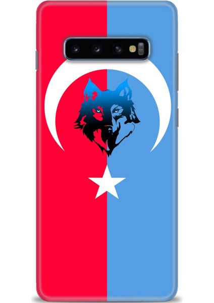 Samsung Galaxy S10 Plus Hd Baskılı Kılıf + Seramik Tam Kaplayan Ekran Koruyucu 462