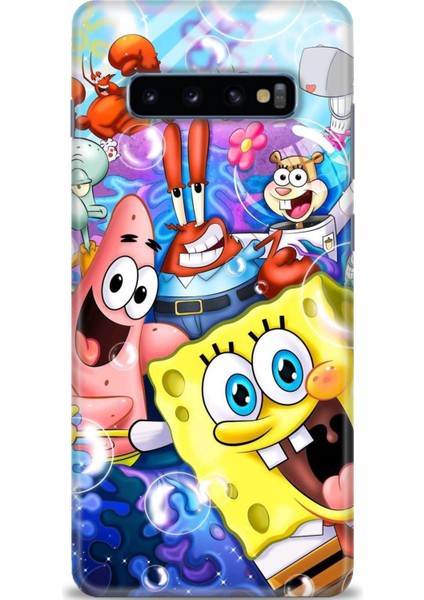 Samsung Galaxy S10 Plus Hd Baskılı Kılıf + Seramik Tam Kaplayan Ekran Koruyucu 455