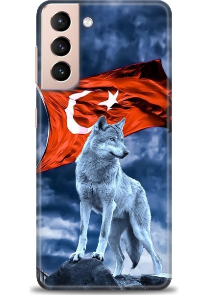 Samsung Galaxy S21 Plus Hd Baskılı Kılıf + Seramik Tam Kaplayan Ekran Koruyucu 36