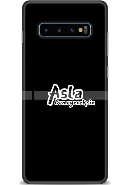 Samsung Galaxy S10 Plus Hd Baskılı Kılıf + Seramik Tam Kaplayan Ekran Koruyucu 397