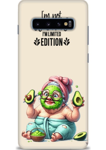 Samsung Galaxy S10 Plus Hd Baskılı Kılıf + Seramik Tam Kaplayan Ekran Koruyucu 43