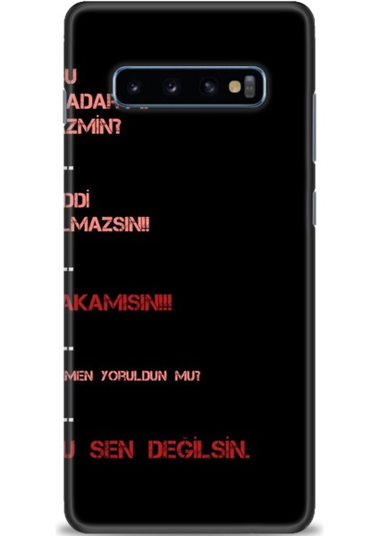 Samsung Galaxy S10 Plus Hd Baskılı Kılıf + Seramik Tam Kaplayan Ekran Koruyucu 391