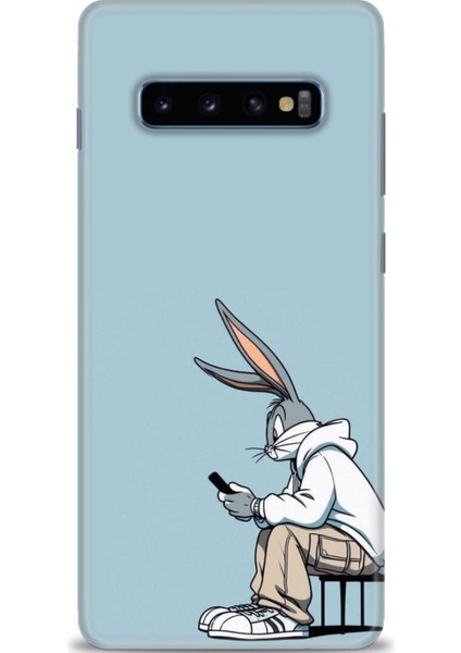 Samsung Galaxy S10 Plus Hd Baskılı Kılıf + Seramik Tam Kaplayan Ekran Koruyucu 410