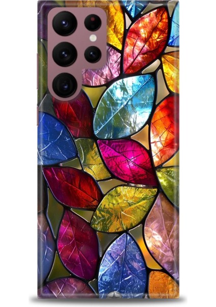 Samsung Galaxy S22 Ultra Hd Baskılı Kılıf + Seramik Tam Kaplayan Ekran Koruyucu 339