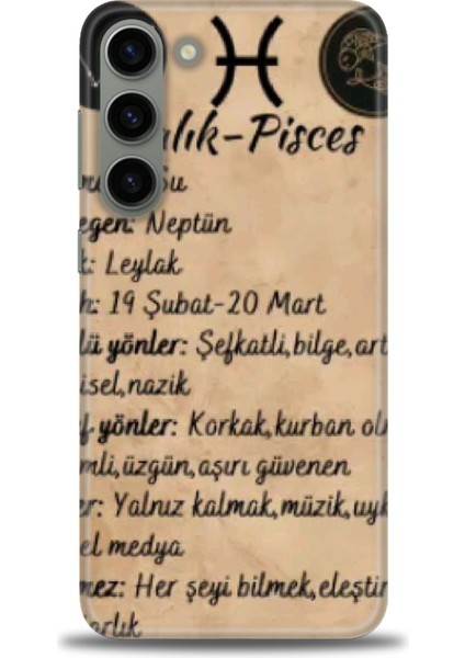 Samsung Galaxy S23 Plus Hd Baskılı Kılıf + Seramik Tam Kaplayan Ekran Koruyucu 473
