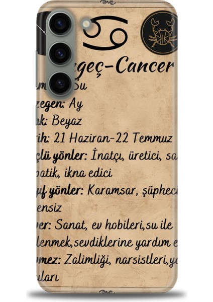 Samsung Galaxy S23 Plus Hd Baskılı Kılıf + Seramik Tam Kaplayan Ekran Koruyucu 480
