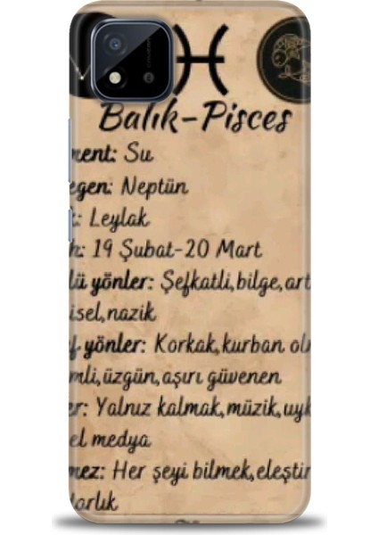 Realme C11 2021 Kılıf Hd Baskılı Kılıf + Seramik Tam Kaplayan Ekran Koruyucu 473