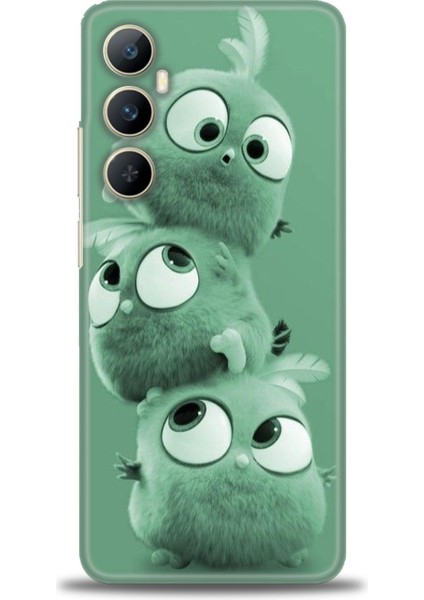 Realme C65 4g Kılıf Hd Baskılı Kılıf + Seramik Tam Kaplayan Ekran Koruyucu 367