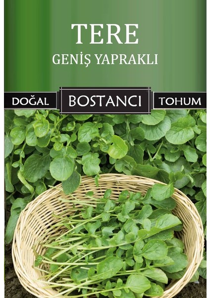 Yerli Tere Tohumu Doğal Yerli Geniş Yapraklı Tere Tohumu