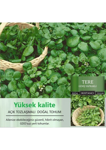 Yerli Tere Tohumu Doğal Yerli Geniş Yapraklı Tere Tohumu fiyatları