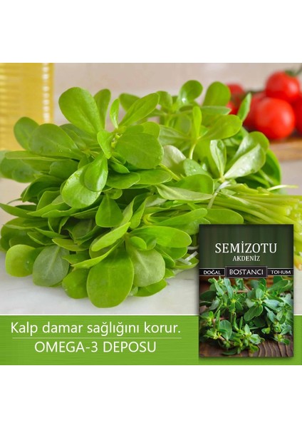 Yerli Semiz Otu Tohumu Doğal Yerli Semizotu Tohumu