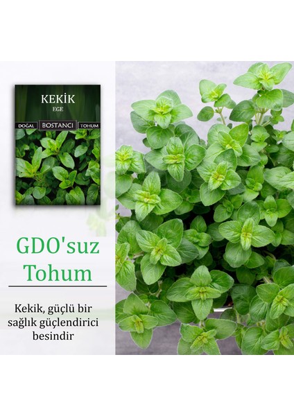 Yerli Kekik Tohumu Doğal Yerli Ege Kekik Tohumu Pakette fiyatları