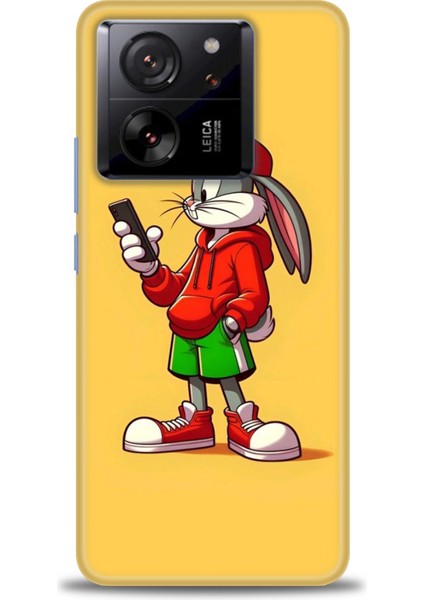 Xiaomi Mi 13T Kılıf Hd Baskılı Kılıf + Seramik Tam Kaplayan Ekran Koruyucu 401
