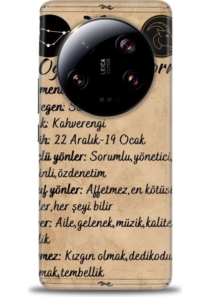 Xiaomi Mi 13 Ultra Kılıf Hd Baskılı Kılıf + Seramik Tam Kaplayan Ekran Koruyucu 478