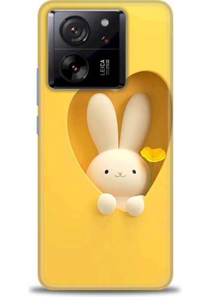 Xiaomi Mi 13T Pro Kılıf Hd Baskılı Kılıf + Seramik Tam Kaplayan Ekran Koruyucu 71