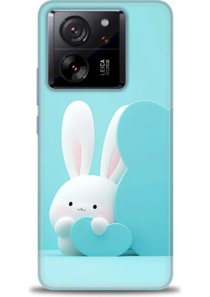 Xiaomi Mi 13T Pro Kılıf Hd Baskılı Kılıf + Seramik Tam Kaplayan Ekran Koruyucu 73