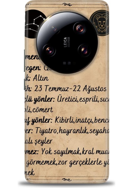 Xiaomi Mi 13 Ultra Kılıf Hd Baskılı Kılıf + Seramik Tam Kaplayan Ekran Koruyucu 475