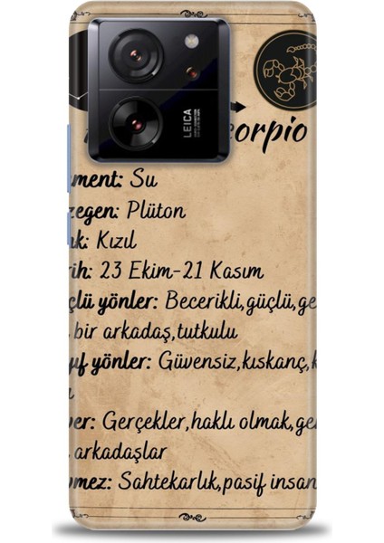 Xiaomi Mi 13T Pro Kılıf Hd Baskılı Kılıf + Seramik Tam Kaplayan Ekran Koruyucu 472