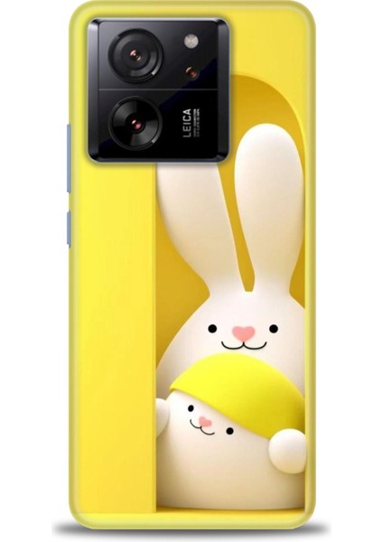 Xiaomi Mi 13T Pro Kılıf Hd Baskılı Kılıf + Seramik Tam Kaplayan Ekran Koruyucu 72